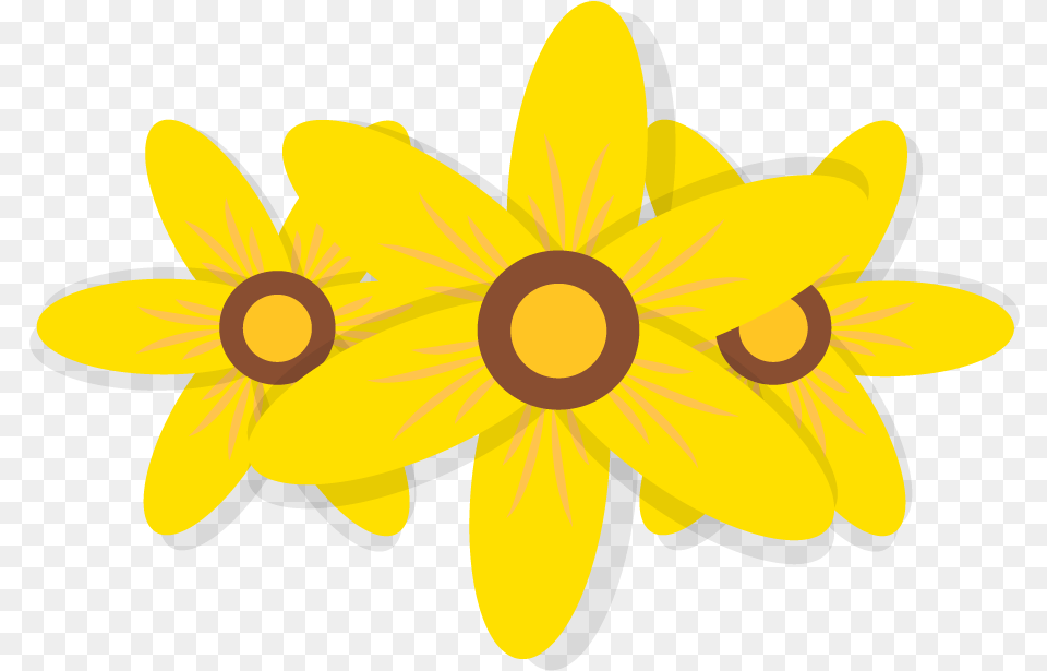 Zendu Flower, Daffodil, Daisy, Plant, Anther Png