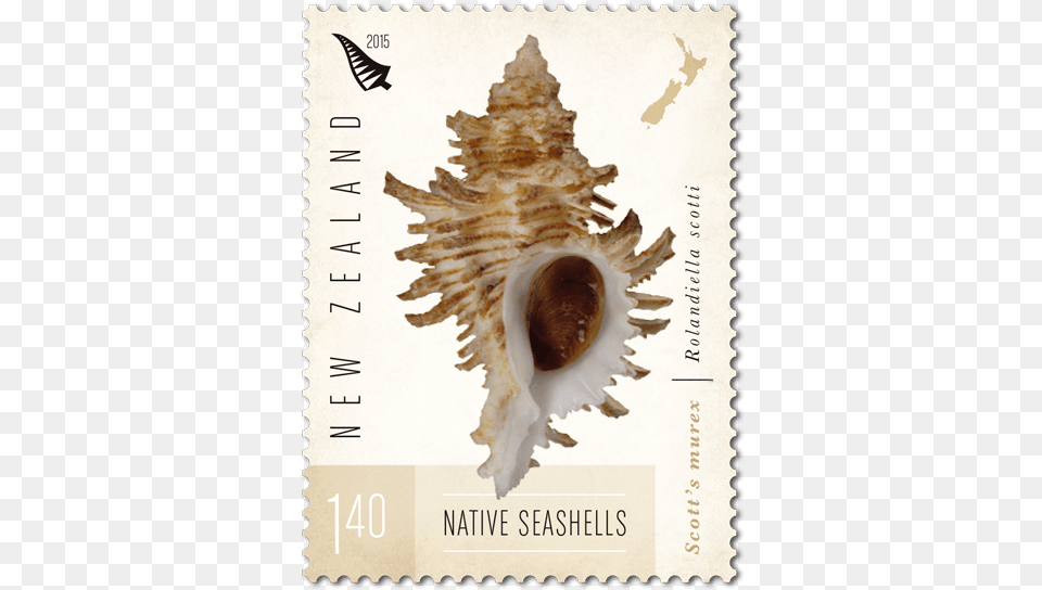 Postcard Stamp, Animal, Invertebrate, Sea Life, Seashell Png Image