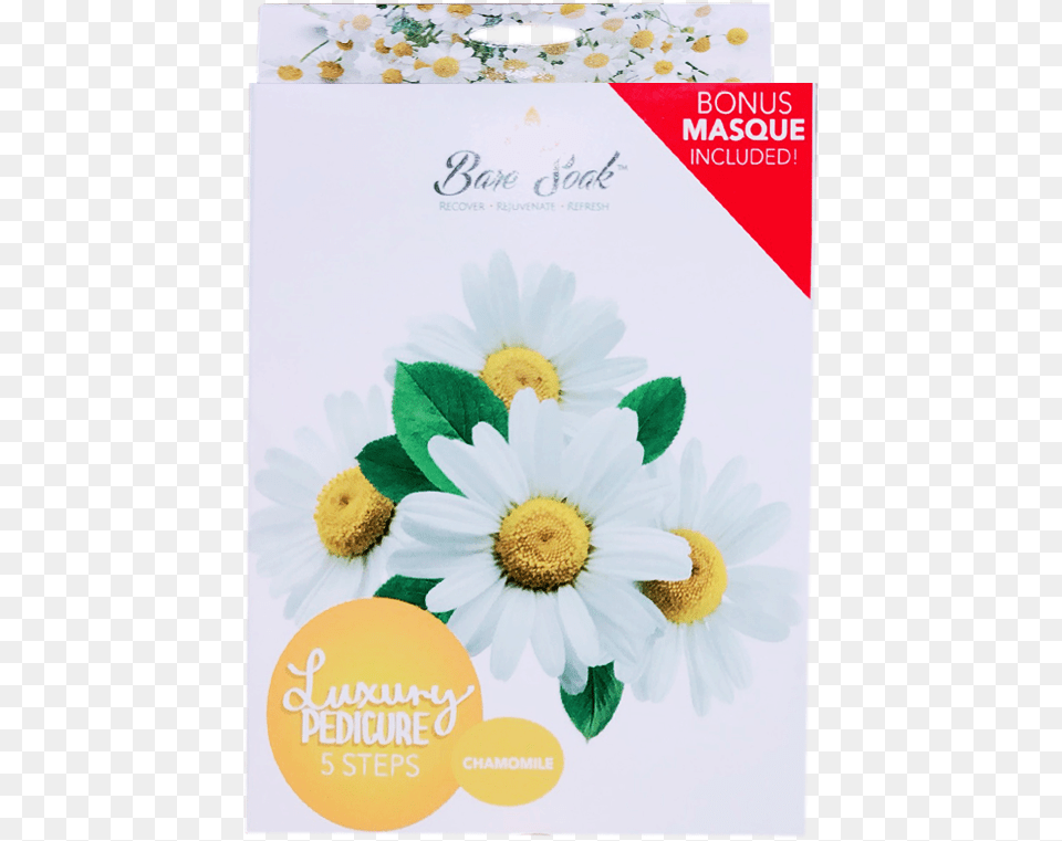 Chamomile, Advertisement, Plant, Herbs, Herbal Free Transparent Png