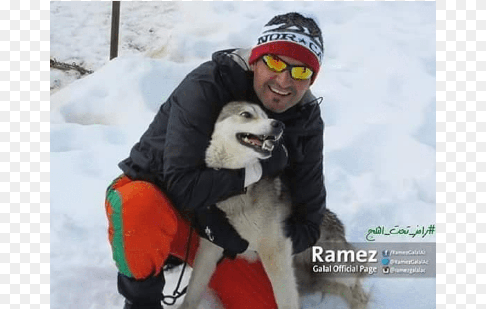 Snow Frame, Animal, Pet, Mammal, Husky Png