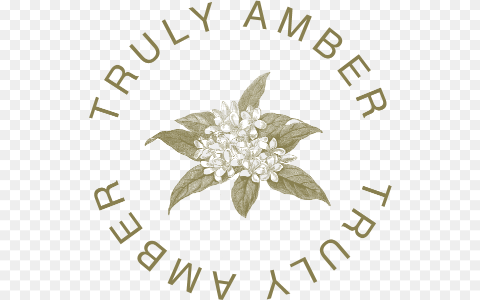 Shay Mitchell, Leaf, Plant, Logo, Animal Free Png