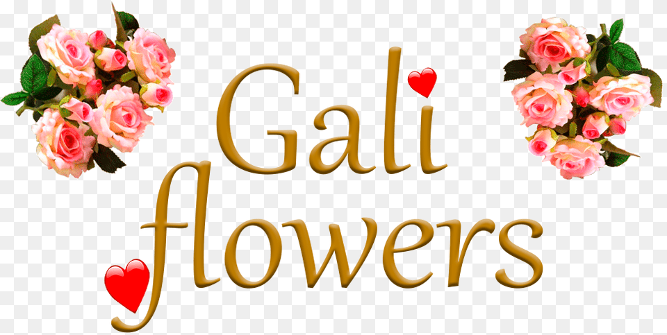 Rosas Rojas, Flower, Flower Arrangement, Flower Bouquet, Petal Free Png Download
