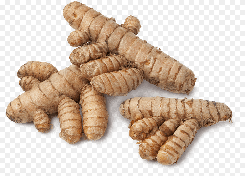 Turmeric, Bread, Food, Ginger, Plant Free Png Download