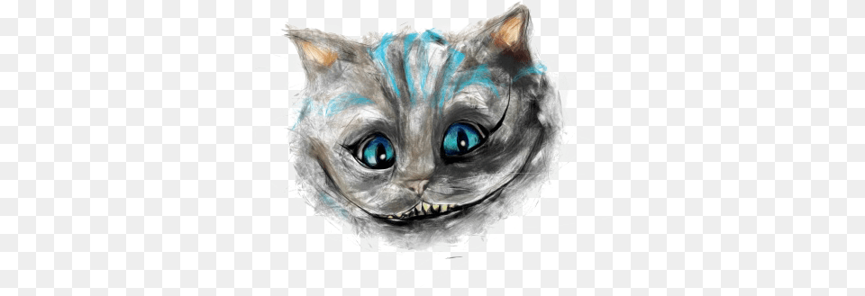 Cheshire Cat, Animal, Mammal, Pet, Angora Png