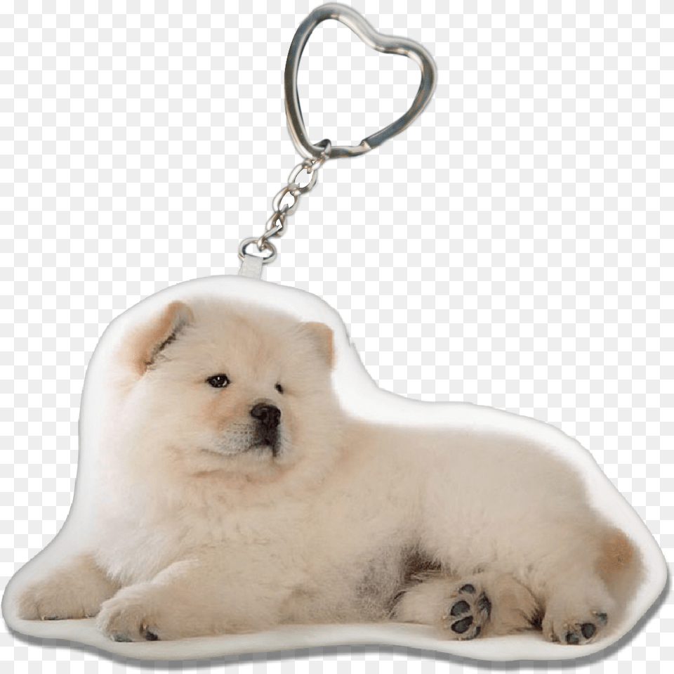 Dog Chain, Animal, Canine, Mammal, Pet Free Png Download