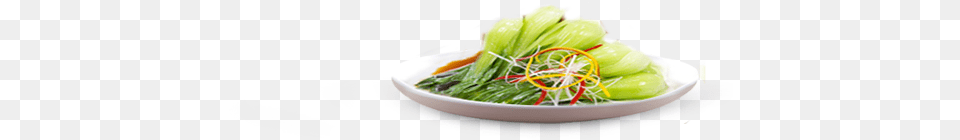 Icon 04 Mar 2019 Salad, Food, Produce, Leafy Green Vegetable, Plant Free Png