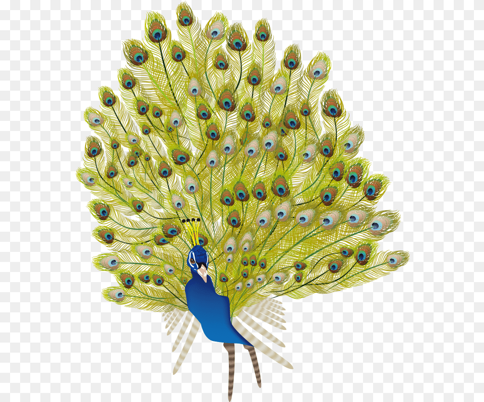 Single Peacock Feathers, Animal, Bird Png