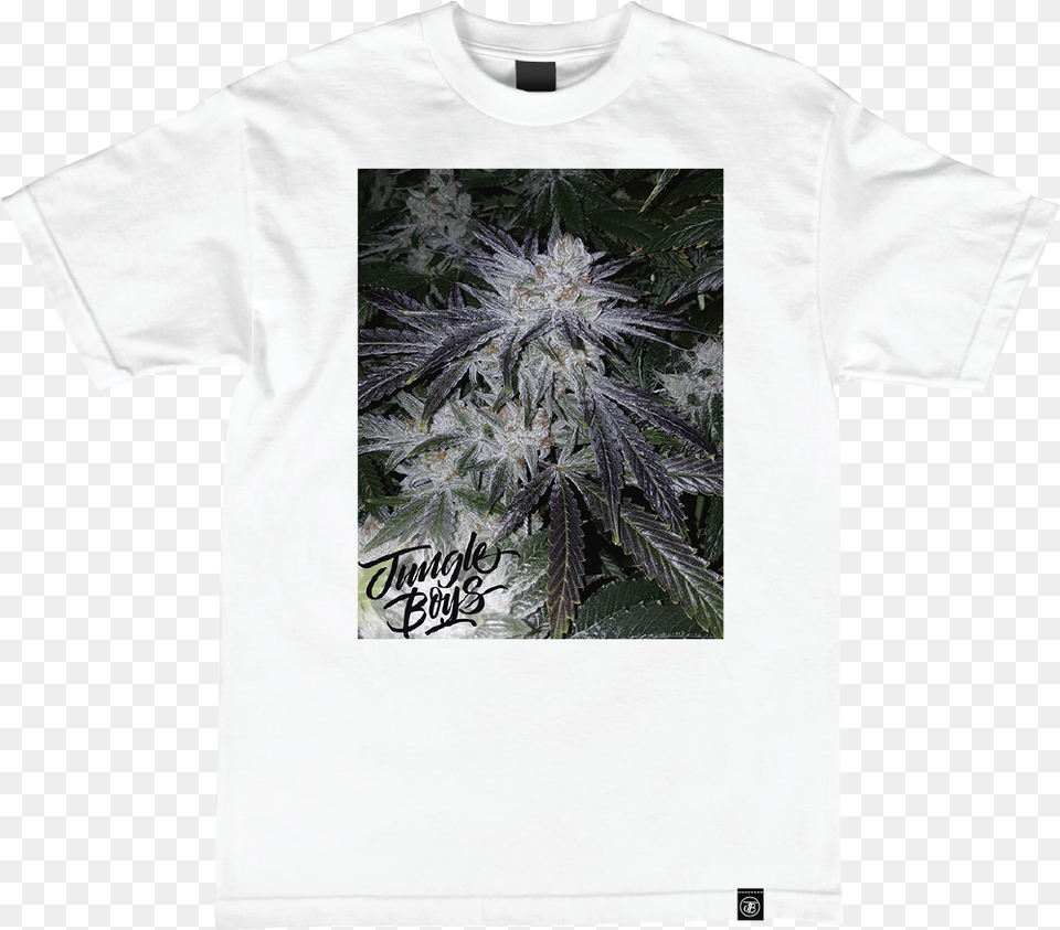 Weed Plant, Clothing, T-shirt, Shirt Png Image