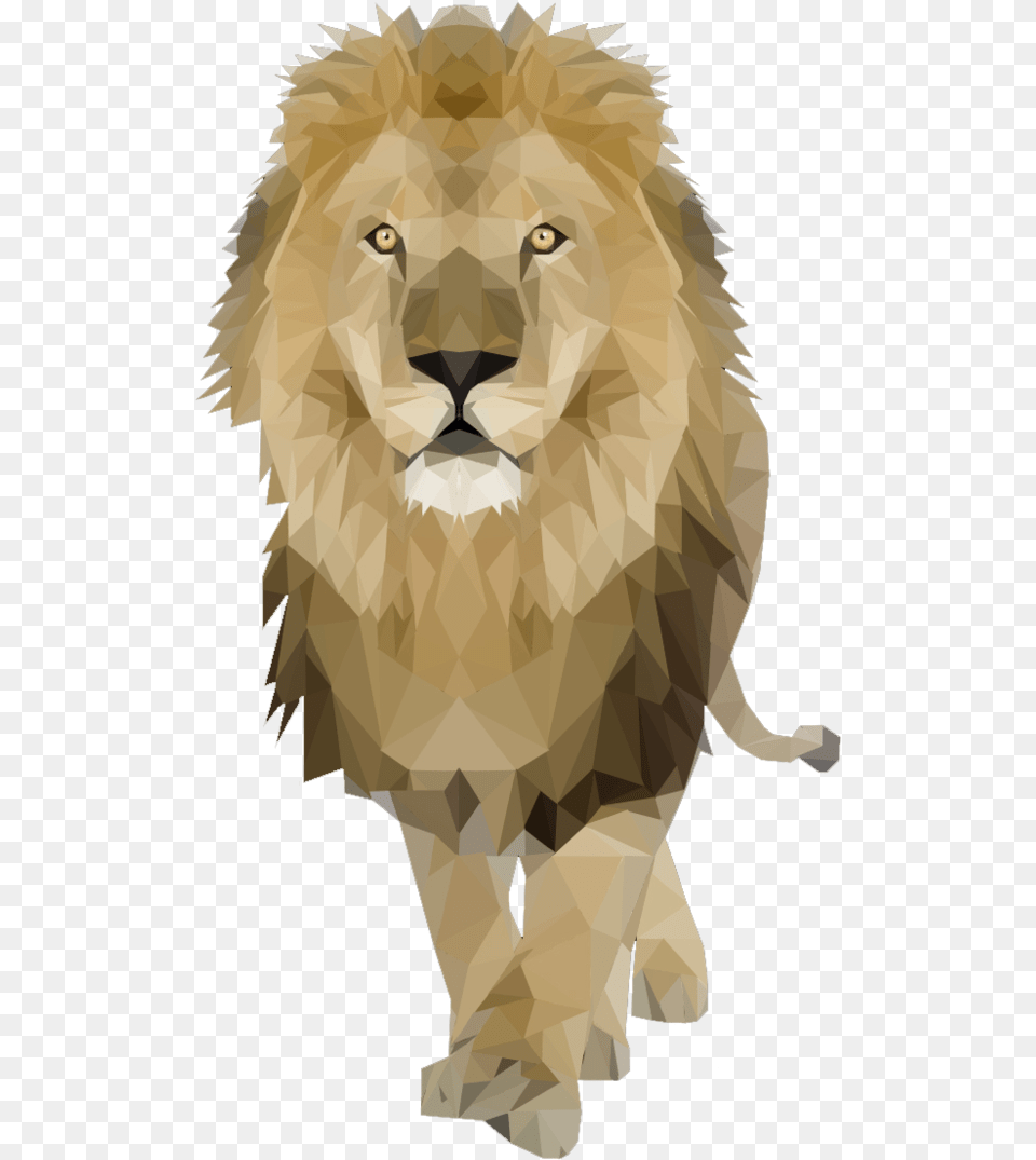 Geometric, Animal, Lion, Mammal, Wildlife Free Png Download