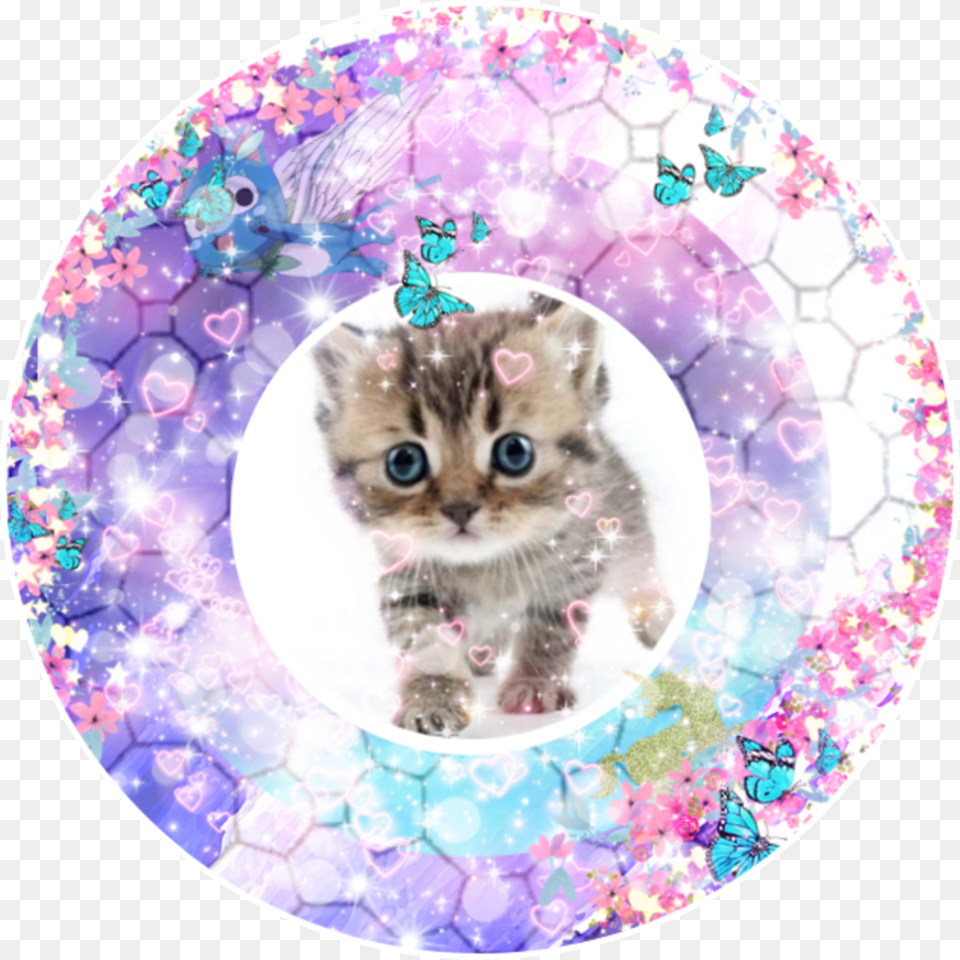 Fairy Tail Happy, Animal, Cat, Kitten, Mammal Free Png Download