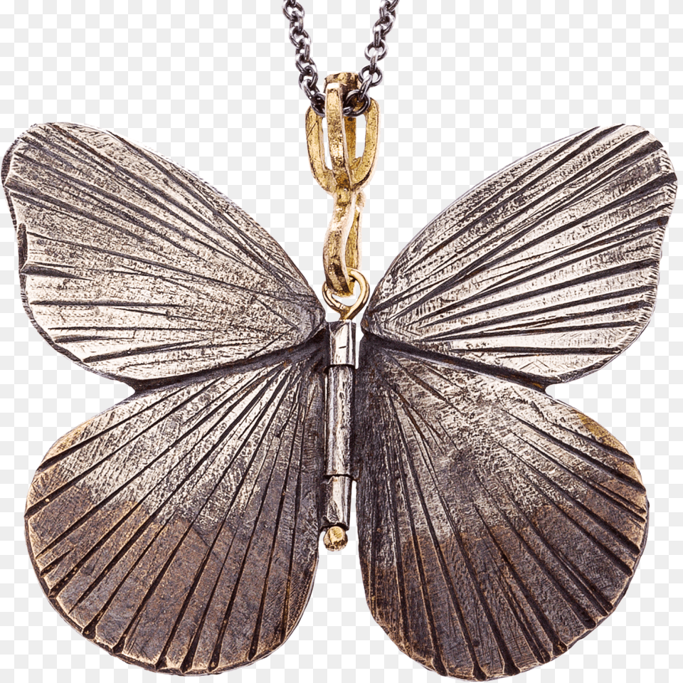 Butterfly Wing, Accessories, Pendant, Jewelry, Appliance Png