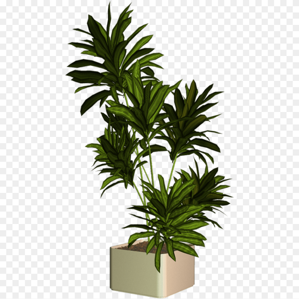 Xxl Cut Out People Greenery Entourage Plantas, Jar, Leaf, Palm Tree, Plant Free Png