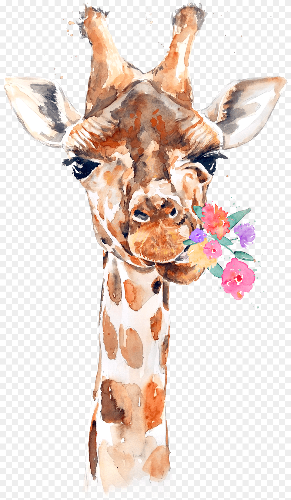 9gag Watermark Flowers Giraffe, Adult, Wedding, Person, Woman Png