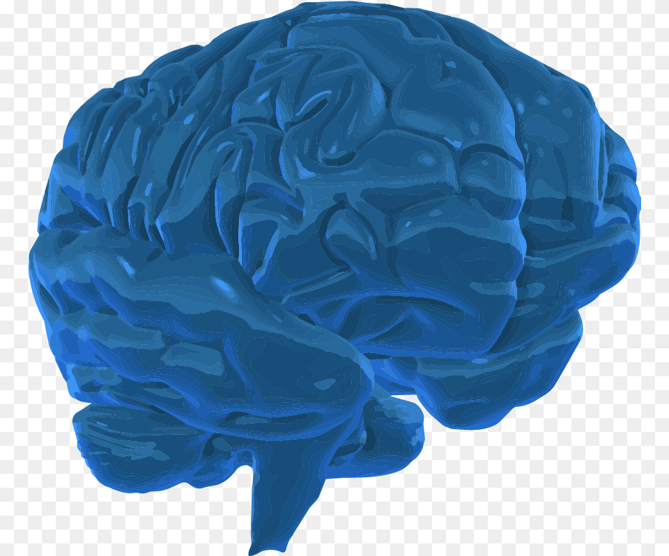 A 3d Graphic Of The Human Brain 3d Brain Think Transparent Background, Person, Sphere, Mineral Png Image