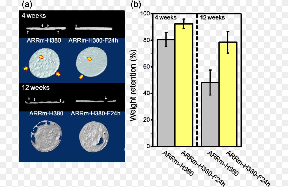 A 3d Images Of Implanted Mg Samples B Weight Retention Metal, Nature, Night, Outdoors, Astronomy Free Transparent Png