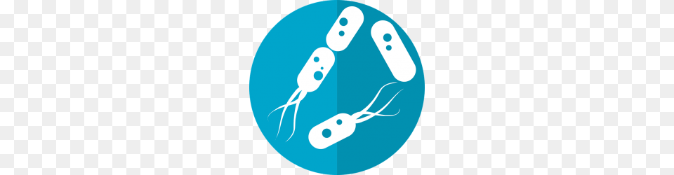 A Bacterial Role In High Blood Pressure Free Png