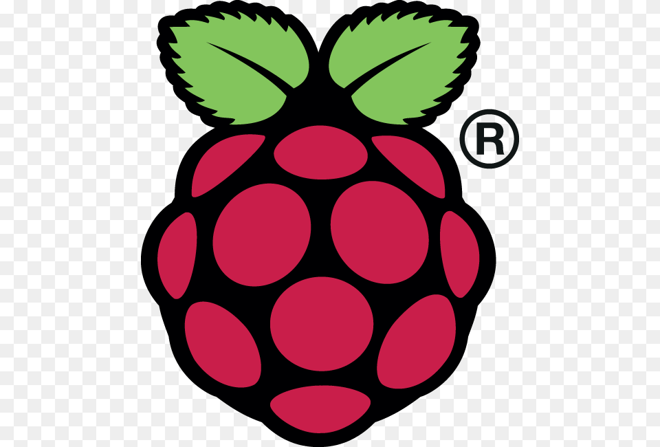 A Bike Messenger By Day Aspiring Actor By Night Raspberry Pi 3 Icon, Strawberry, Berry, Food, Fruit Png