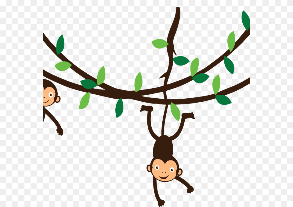 A Bird On Branch Wall Art Vine Clipart Monkey Pencil, Vegetation, Plant, Person, Head Png Image