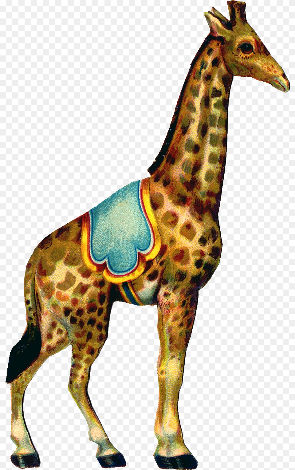 A Bit Of A Silly Combination Today Vintage Circus Clip Art, Animal, Giraffe, Mammal, Wildlife Free Png Download