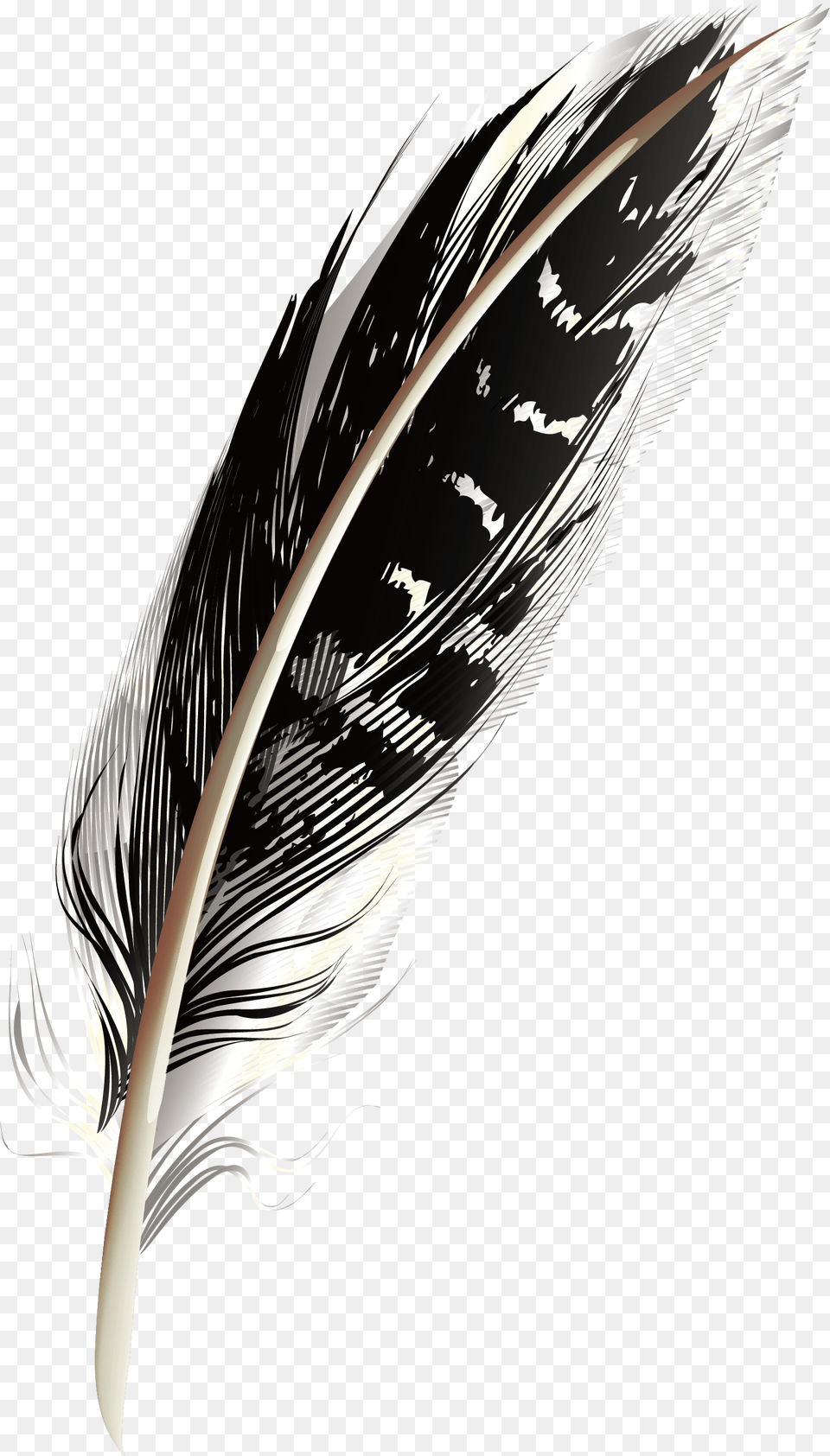 A Black Pattern Feathers Download Black Feather, Bottle, Blade, Dagger, Knife Free Png