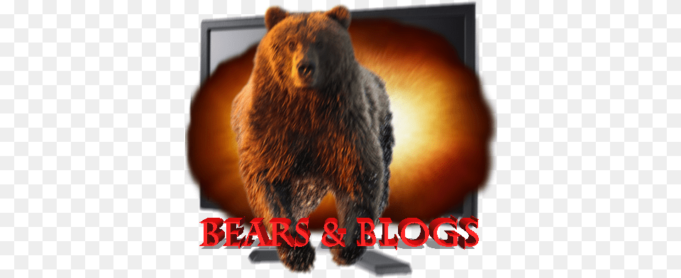 A Blog About Bears And Rhetoric Blog, Animal, Bear, Mammal, Wildlife Png Image