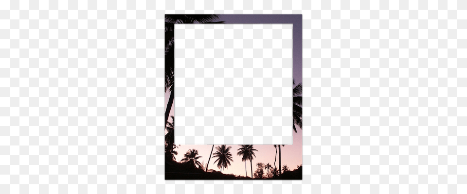 A Blog Of A Portuguese Art Student Siene, Silhouette, Palm Tree, Plant, Tree Free Transparent Png