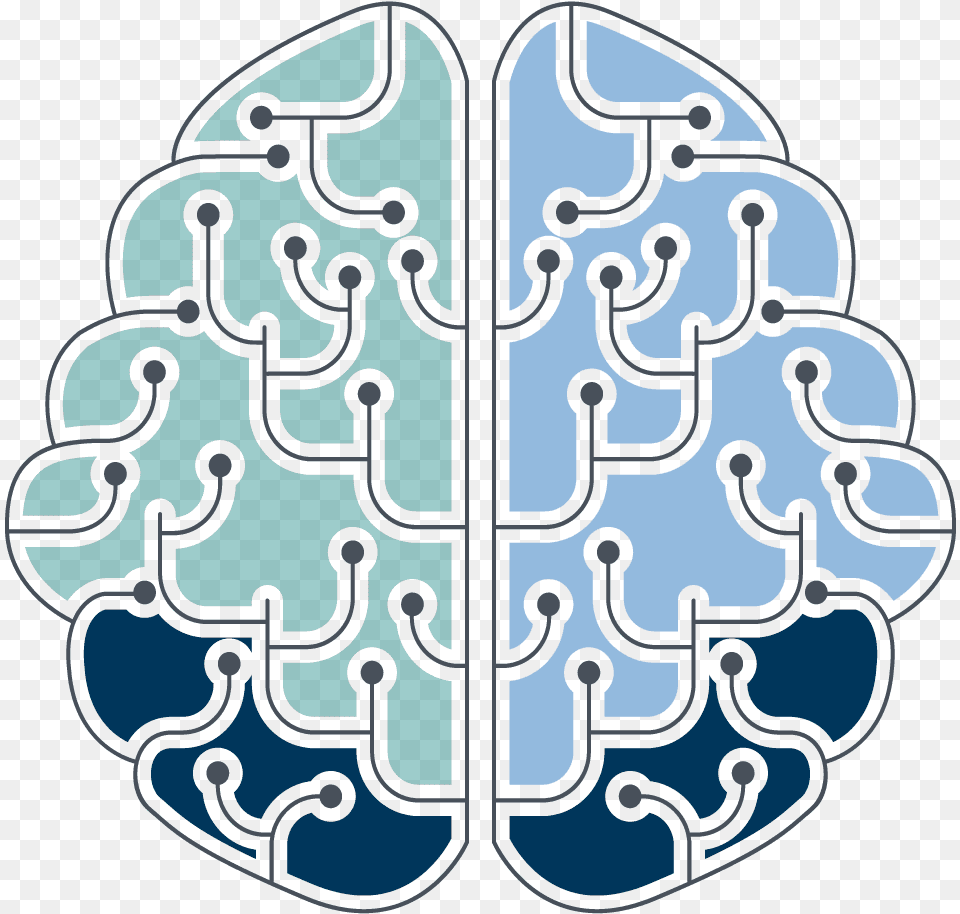 A Blue Green And Dark Blue Brain Explaining The Wms Illustration, Art, Electronics, Hardware Free Png