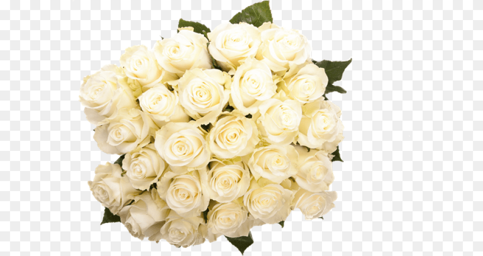 A Bouquet Of White Roses Flower Bouquet, Flower Arrangement, Flower Bouquet, Plant, Rose Free Transparent Png