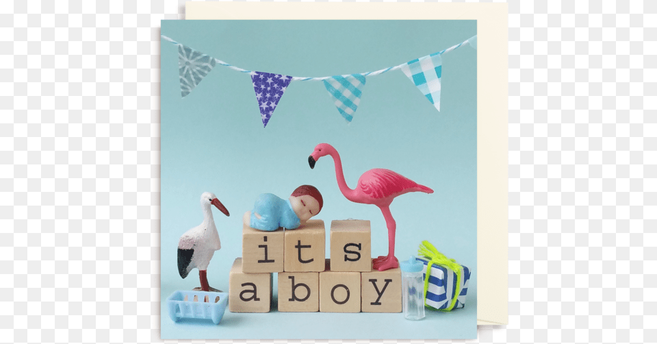 A Boy Card By Dietske Klepper Lagom Design Graphic, Animal, Bird, Beak, Baby Png