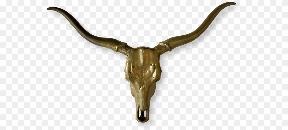 A Brass Wall Mounted Longhorns Skull Sculpture Bull, Animal, Bronze, Cattle, Livestock Png