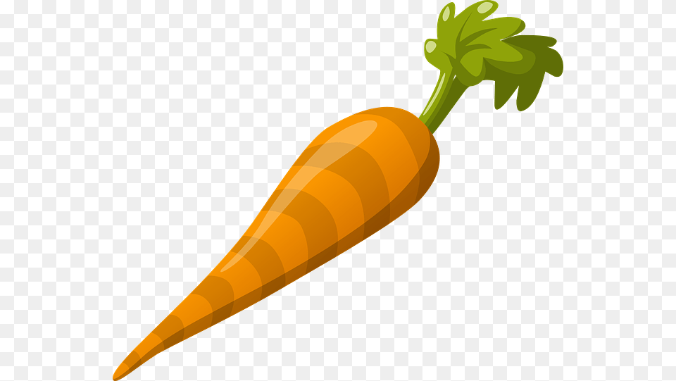 A Brief History Of The Carrot Professional Moron, Food, Plant, Produce, Vegetable Png