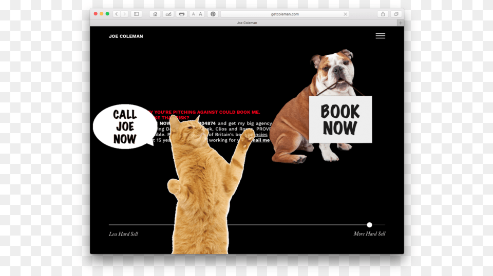 A Brilliant Website For A Copywriter Website, Animal, Canine, Dog, Mammal Free Png