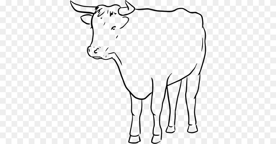 A Bull, Gray Free Png Download