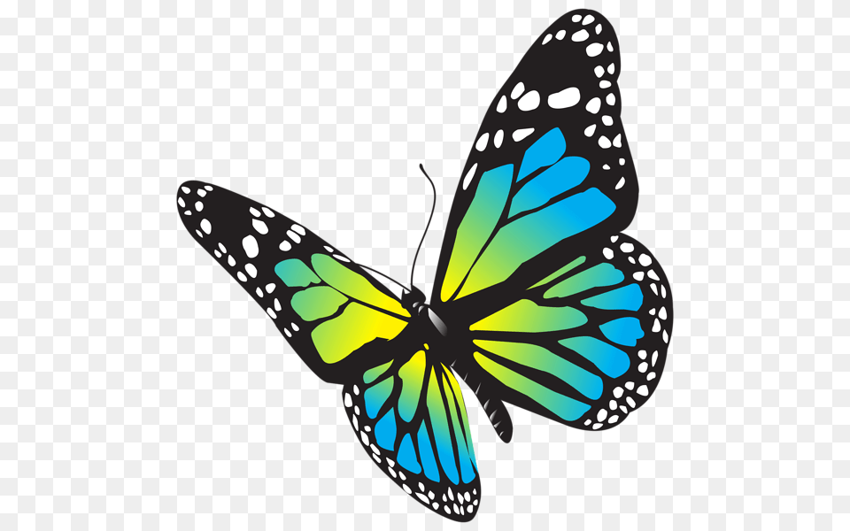 A Butterfly Butterfly, Animal, Insect, Invertebrate, Monarch Free Png Download