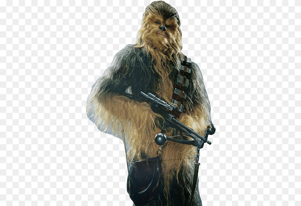 A Cardboard Cutout Of Chewbacca That Has Made Appearances Chewbacca Of Star Wars, Adult, Female, Person, Woman Free Png Download