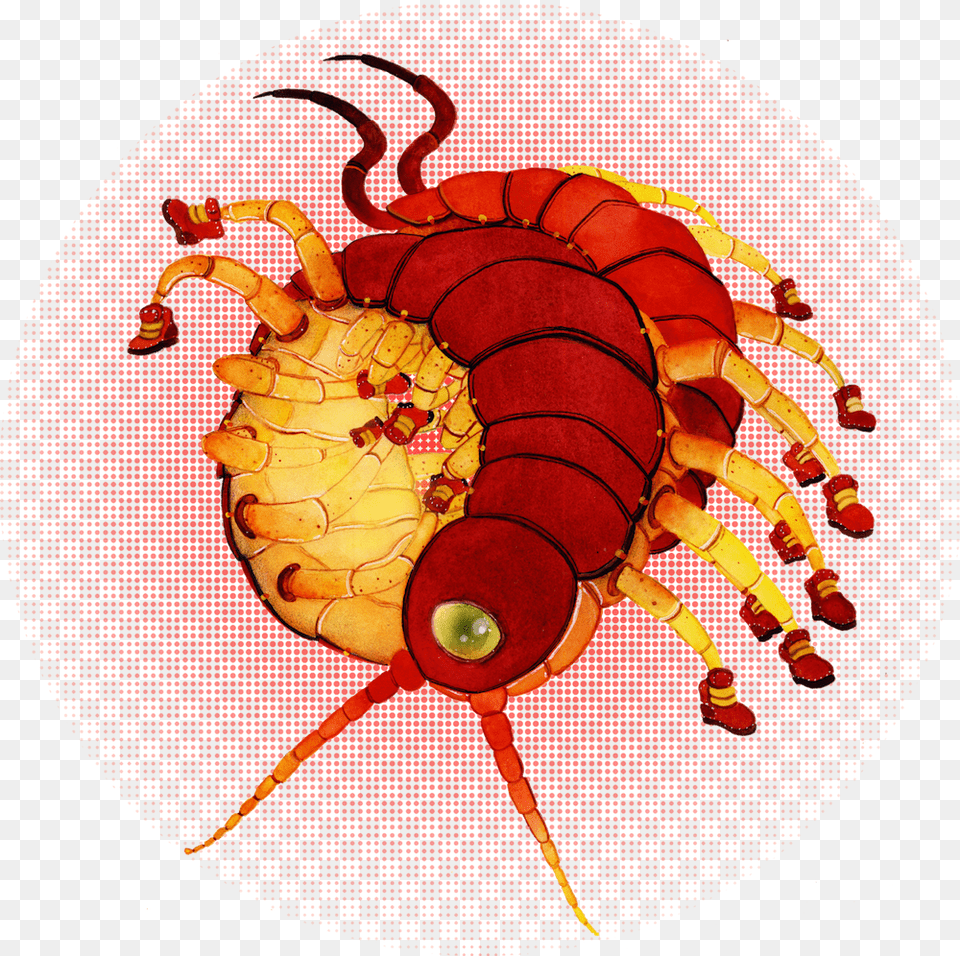 A Centipede Wearing Sneakers For Katedrawsthings Insect, Animal, Invertebrate Free Png