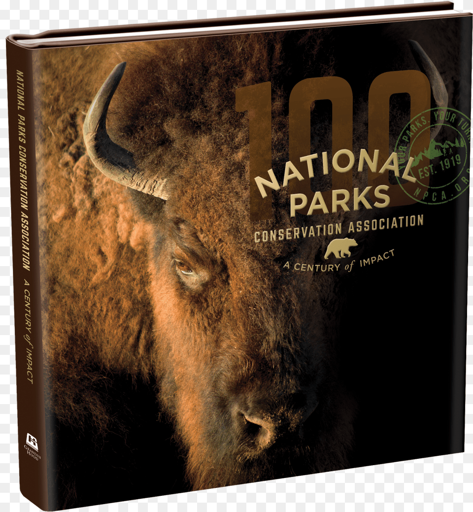 A Century Of Impactclass Img Responsive True Close Up Of A Buffalo, Book, Publication, Animal, Bison Free Png Download