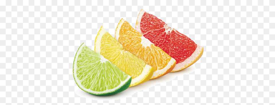 A Citrus History Lime Lemon Orange Grapefruit 503x367 Lemon Lime Orange Grapefruit, Citrus Fruit, Food, Fruit, Plant Free Png