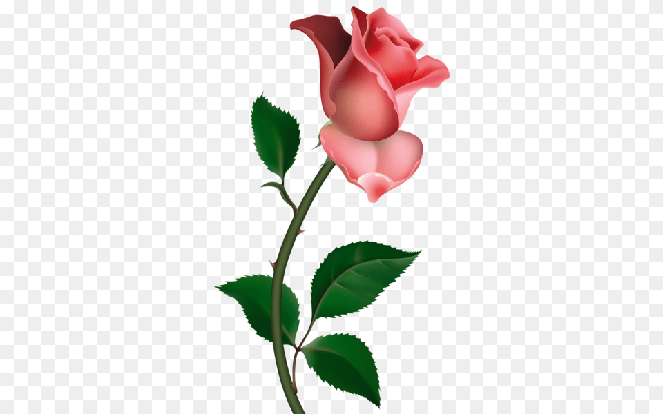 A Cliparts Fleurs Rose Clip Art, Flower, Plant Png Image