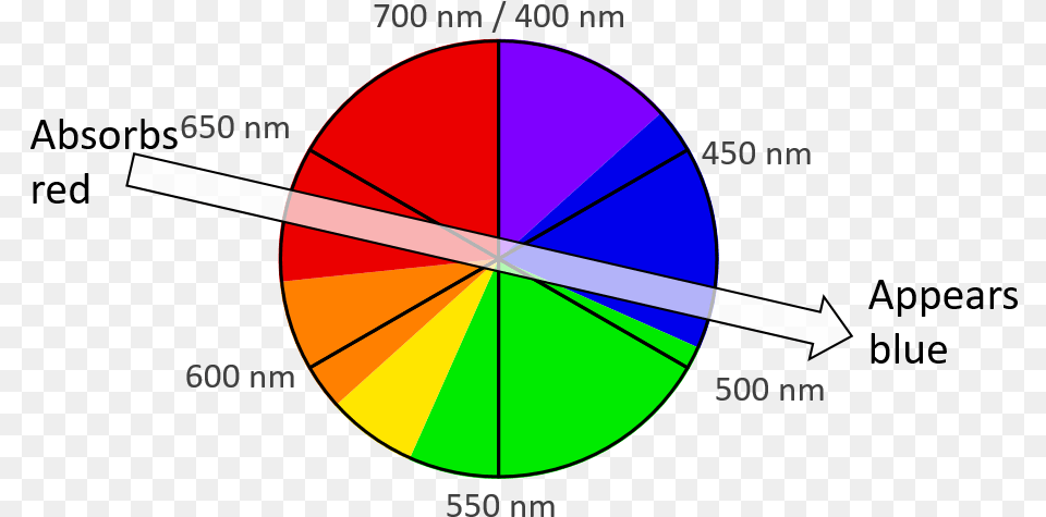 A Color Wheel Accurately Representing The Wavelength, Chart, Disk, Pie Chart Free Transparent Png