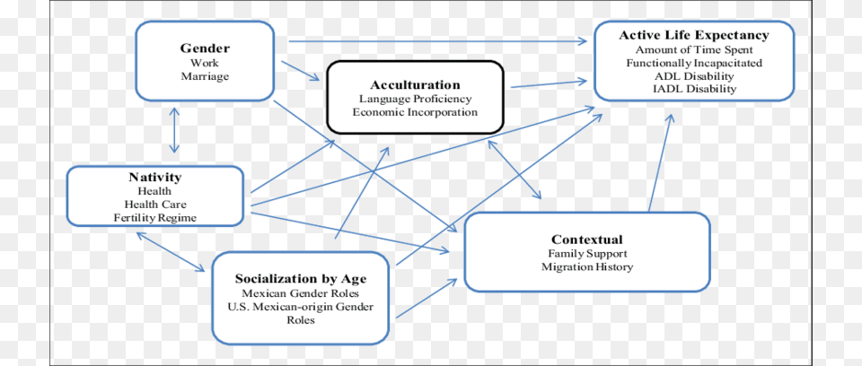 A Conceptual Model Of Healthy Aging For Older Hispanics Diagram, Uml Diagram Free Png