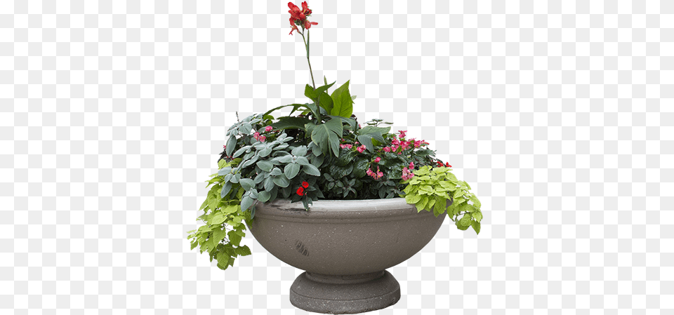 A Concrete Planter With Green Overflowing Plants And Flower, Pottery, Potted Plant, Plant, Jar Free Png