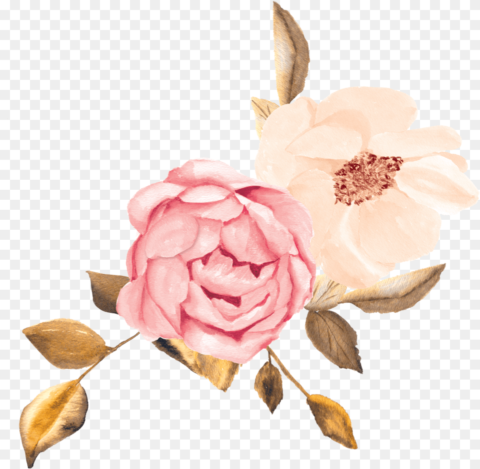 A Copy Rose Gold Flowers Clipart, Flower, Petal, Plant, Dahlia Png Image