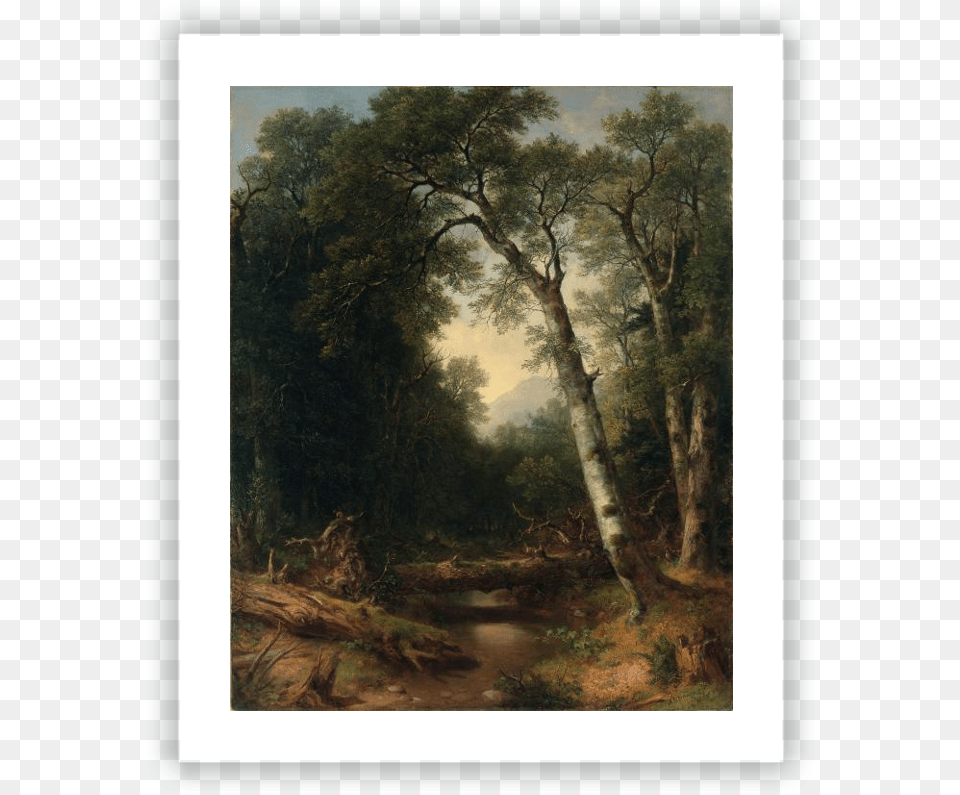 A Creek In The Woods Asher Brown Durand Art Hd, Painting, Plant, Vegetation, Tree Free Png Download