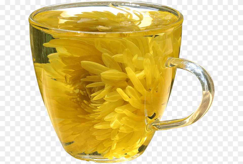 A Cup Of Flower King Chrysanthemum Tea Forsythia, Glass Free Png Download