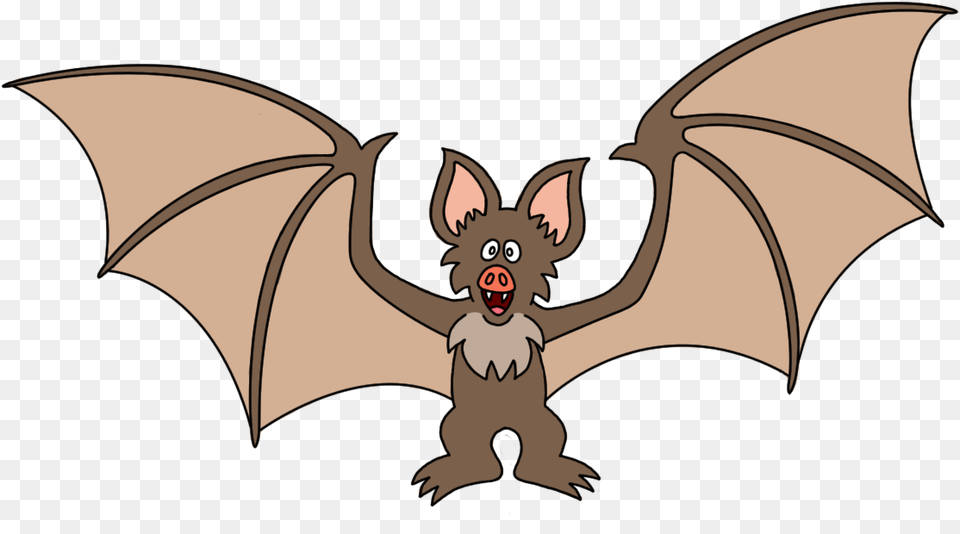 A Cute Little Bat Little Brown Myotis, Animal, Wildlife, Mammal, Baby Png Image