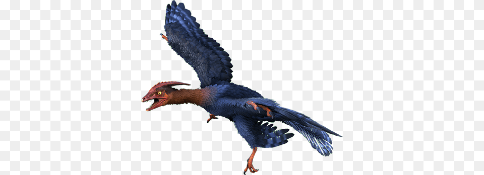 A Cute Little Birdierko Outta Nowhere Dino Dan Microraptor, Animal, Bird, Beak, Cormorant Png Image