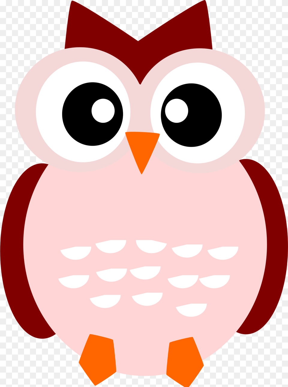 A Cute Owl, Animal, Bird, Nature, Outdoors Free Transparent Png