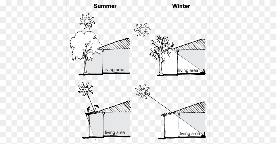 A Deciduous Tree Near The Living Area Of A House Provides Design Strategies For Hot And Dry Climate, Art, Nature, Outdoors, Person Png Image