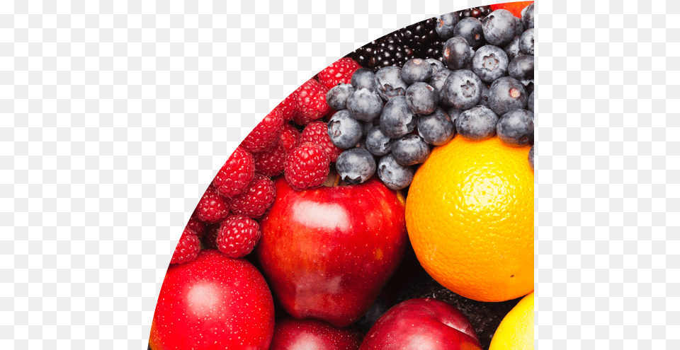 A Detailed Guide To Using Myplate Plus Frutas Chilenas De Exportacion, Raspberry, Produce, Plant, Fruit Free Png